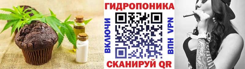 Купить закладки  Кирсанов  Canna-Cookies конопля 