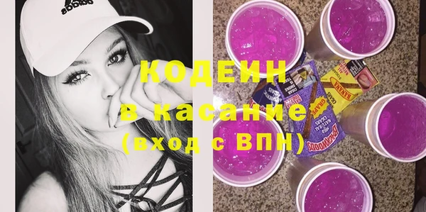 крисы Киренск