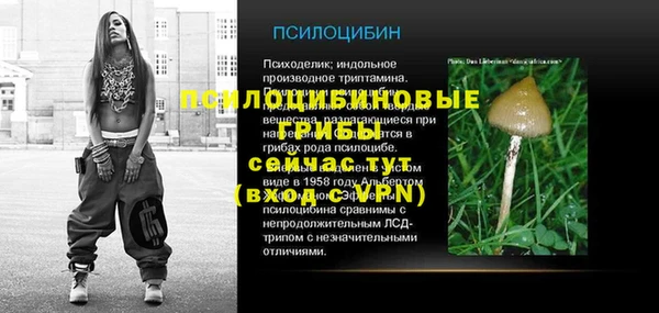 крисы Киренск